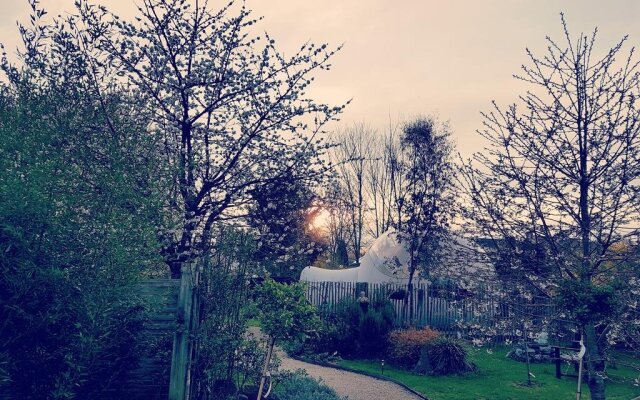 B&B Oxybulle