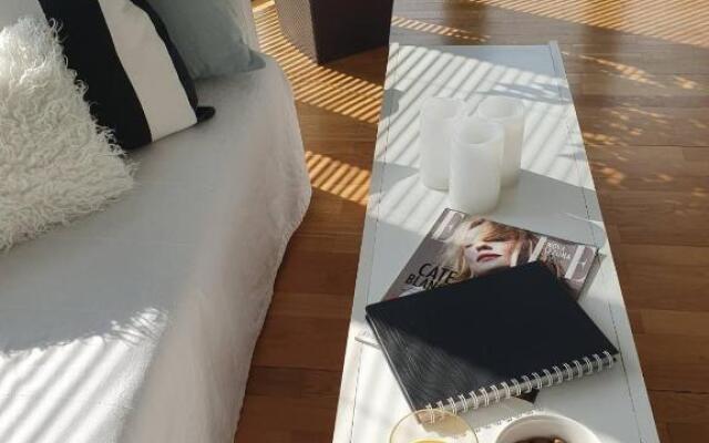 Apartment Penthouse Festina Lente