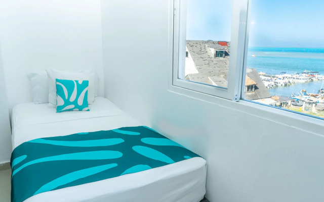 Caribbean Coral