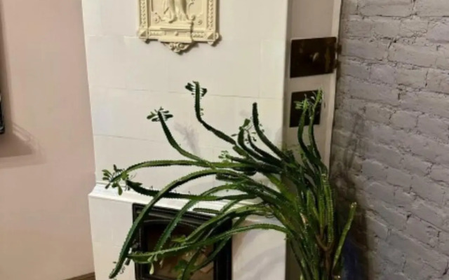 Меблированные комнаты Star Comfort (Стар Комфорт) на улице Марата