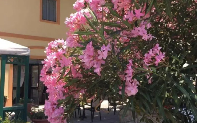Hotel il Malandrone