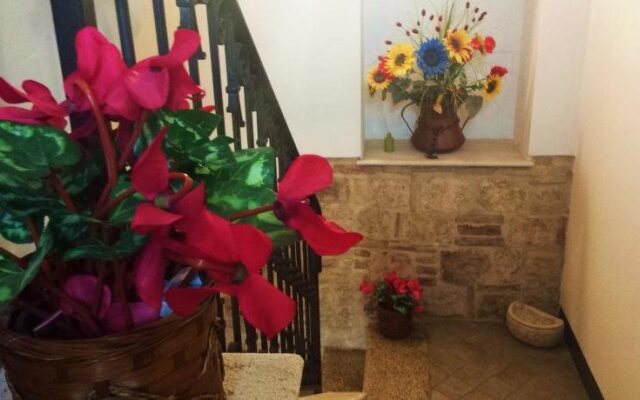 Il Ciclamino Bed and Breakfast