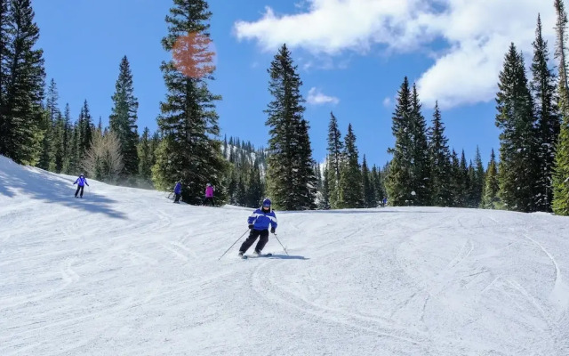 Antlers Gulch 502