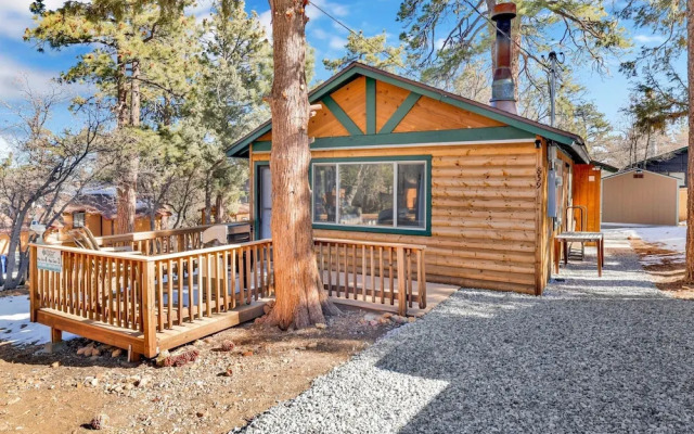 Sugar Bear Crossing #2496