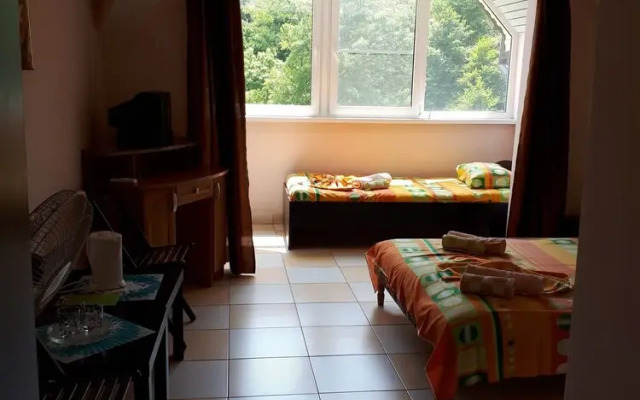Rodnichok Guest House
