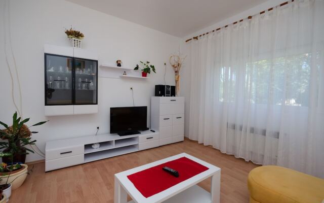 Apartment Ruza