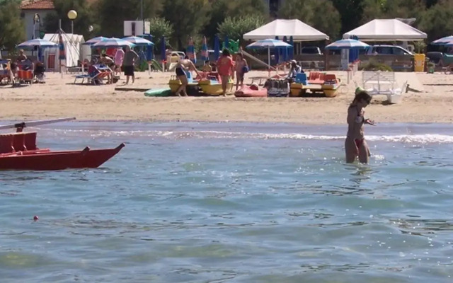 Appartamento nel Verde sul Mare