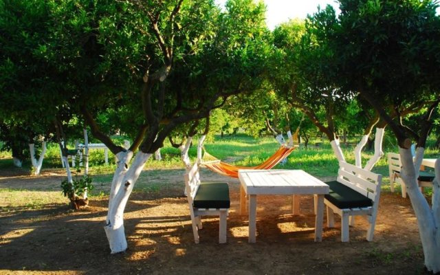 Bodrum Ecofarm Camp Hostel