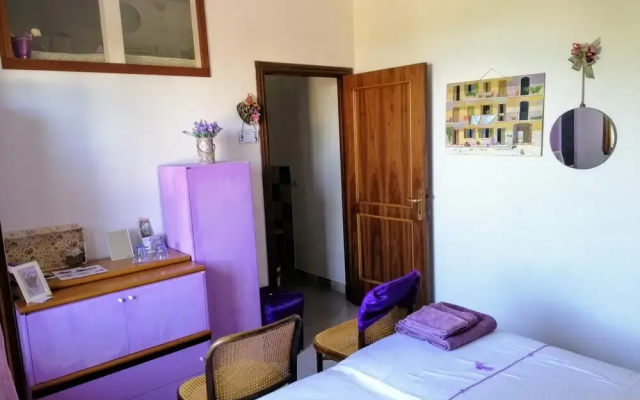 Amor di lavanda