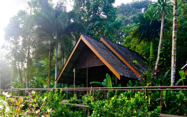 Khao Sok Riverside Cottage