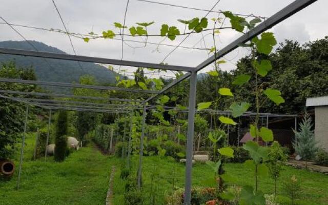 Guest House Gardenia & Wine Cellar