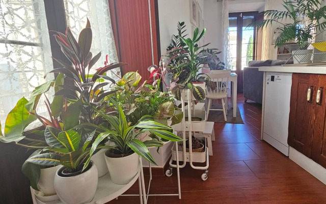 Apartamentos Los Descalzos Ángel