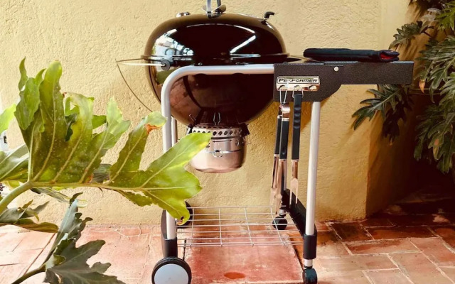 Casa Verde Alberca Jardin Diseno Ubicacion AC