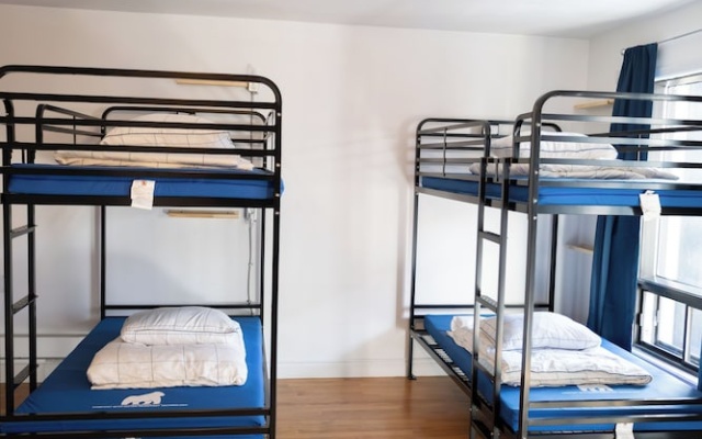 Treehouse Hostel