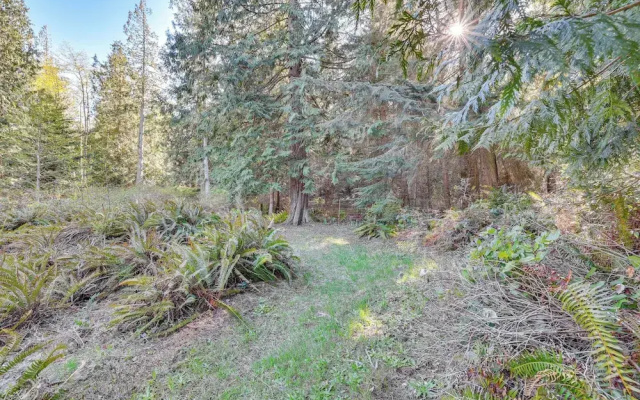 Secluded Port Townsend Retreat: Pets Welcome!