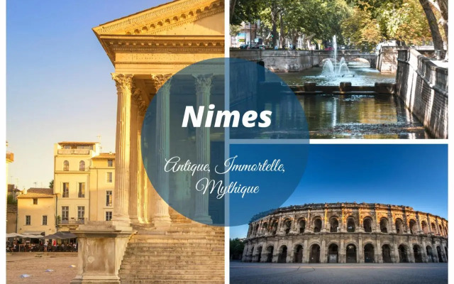 Studio Le Goéland / cosy / lumineux / plage à 2 minutes