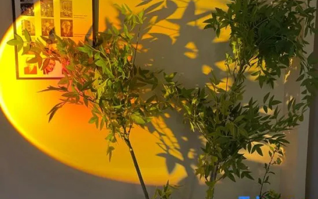 Little 8 mansion. Shanghai.