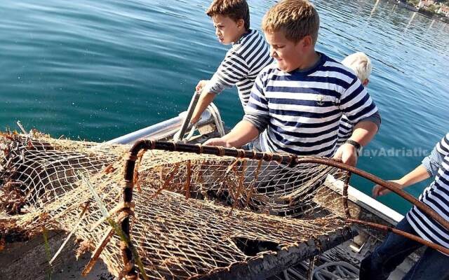 Sea View Apartment Serene, Sleeps 7