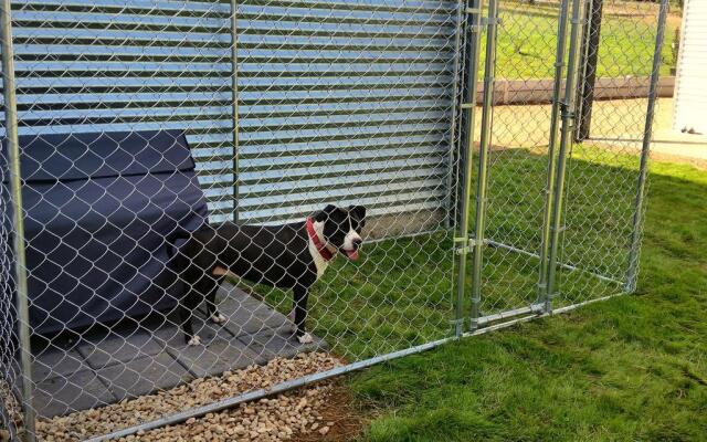 3 Bells Alpine Cottage