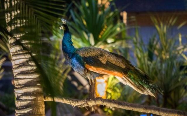 Xishuangbanna Peacock Valley Hot Spring VILLA Resort