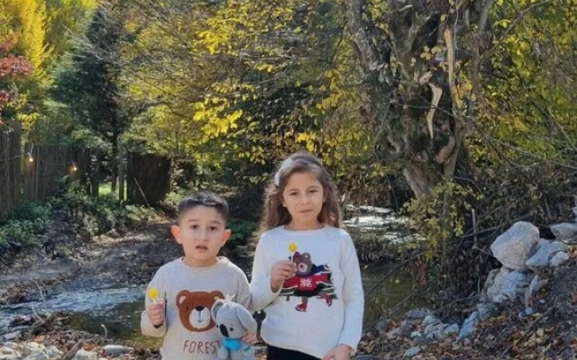 Abant Dort Mevsim Konagi