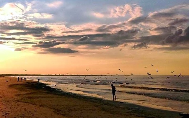 Wiosłówka - domek nad morzem