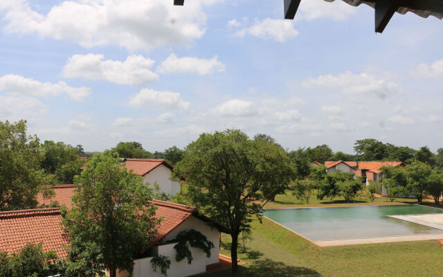 Sigiriya Jungles