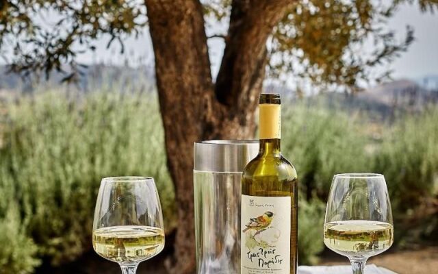 Ayiopetra Exclusive Getaways