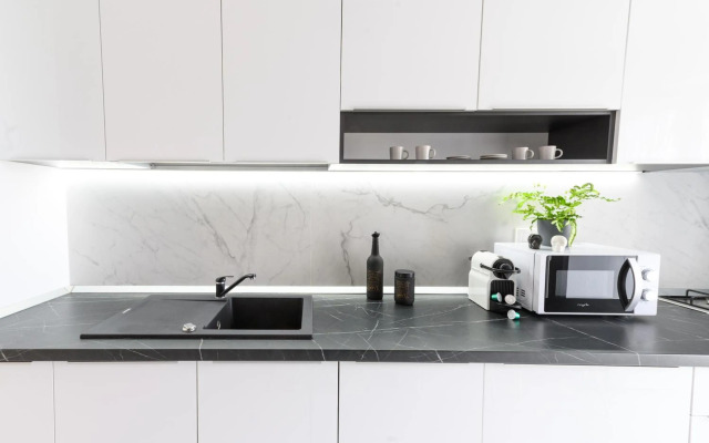 North Artistique - Aviatiei