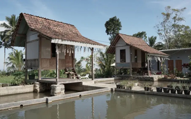 SPOT ON 92699 Irish Irish Homestay