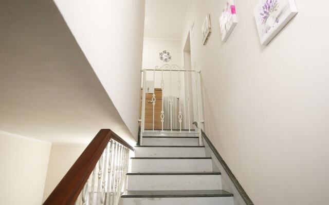 Home Olympus Vesuvio