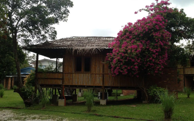 The Roots Eco Resort