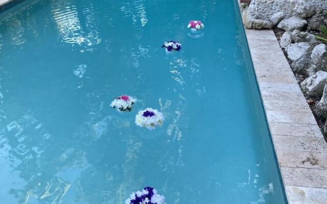 Manatee Palms