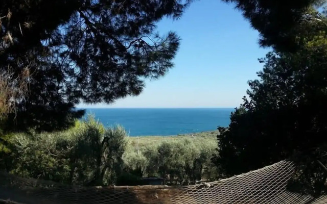 Residence Mattinatella
