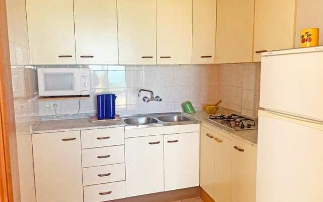 Papa Luna 1ª Linea 3000