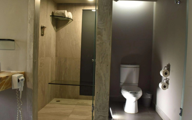 Royal Pedregal Hotel