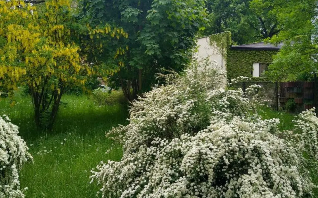 Zielony Apartament, Kielce, Targi, Centrum