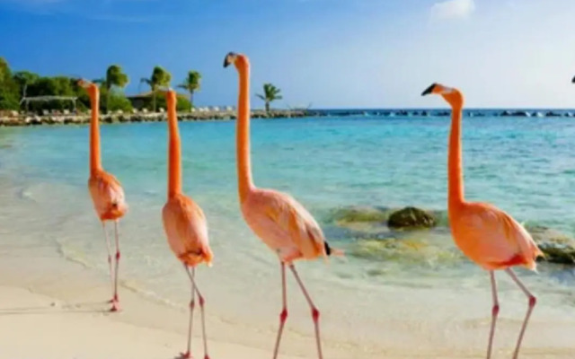 The Brayan's Apartment