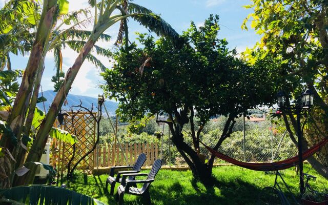 Hotel Altea Paradise 1917