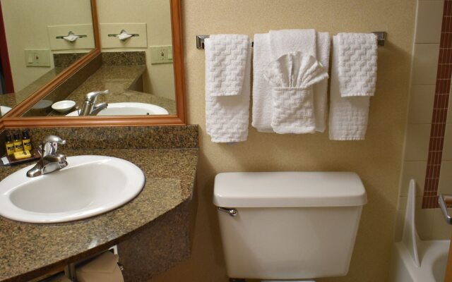 Comfort Inn & Suites Downtown Tacoma