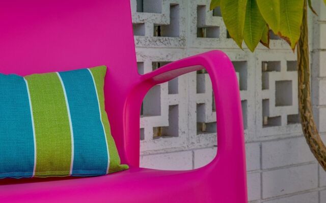 Pretty in Pink at Indian Canyons