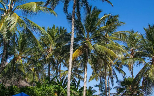 Turtle Bay Beach Club
