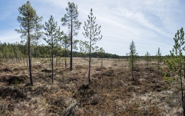 Hotelli Tarjanteen majoitushuoneet Virrat