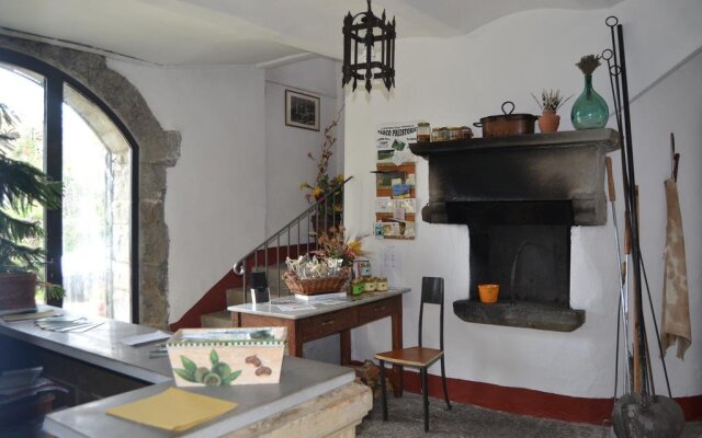 Fattoria Il Praticino