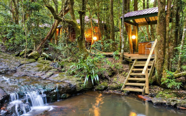 The Mouses House Rainforest Retreat