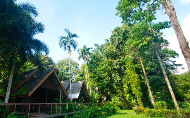 Khao Sok Riverside Cottage