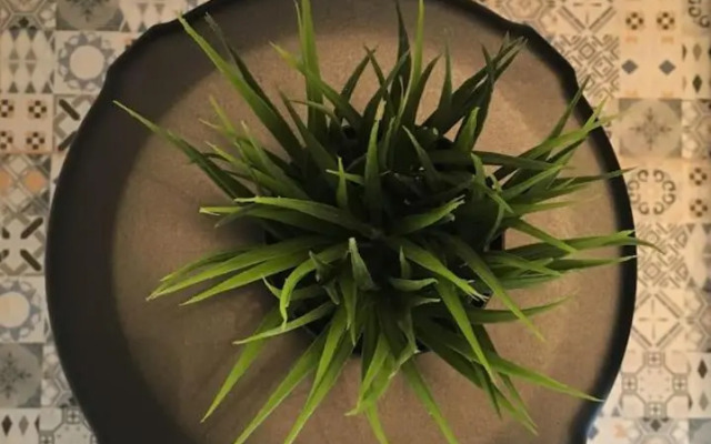 Urbanika Living - Central/ Old city 2