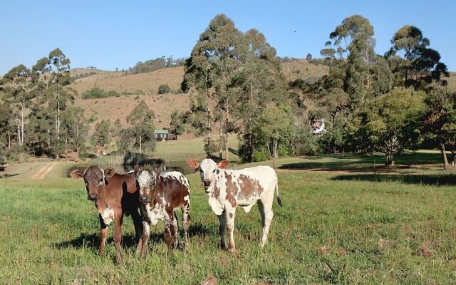 Troutways Private Retreat