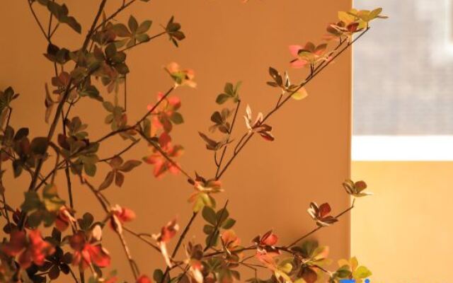 Youshan Courtyard Hotel