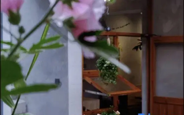 Xi 'an Bottle flower Coffee Hostel